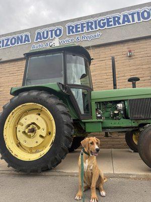 Tucker in front of Arizona Auto Refrigeration.