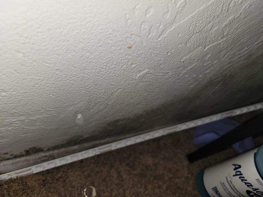 Village Park Apartments