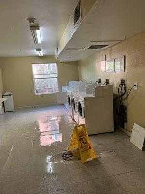 Disaster Thanks to Manager Loyda Aracely Perez