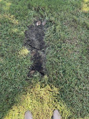 Okaloosa Gas District