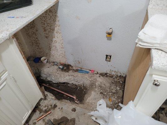 Popeye's Platinum Plumbing