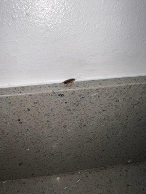 Watch Hill Apartments