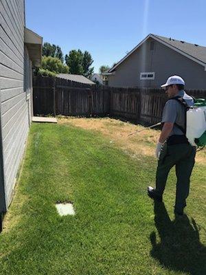 Foundation spray. An important part of keeping your home pest free.