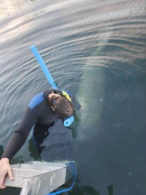 Mellow Mangrove Charters