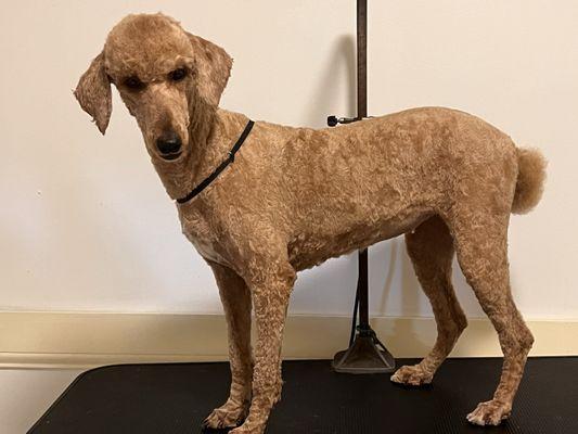 Omg she was so happy ! She kept kissing me and thanking me!! I love my job