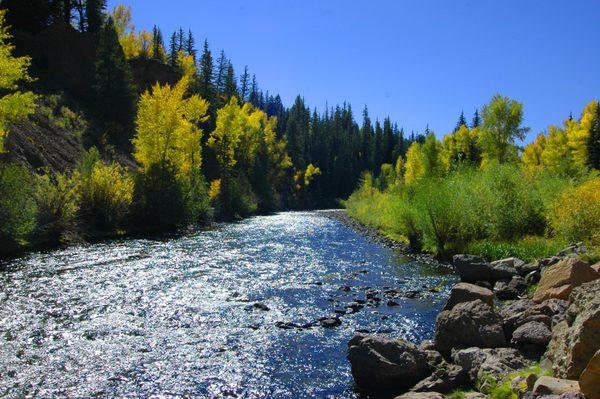 Fall colors along the river.
