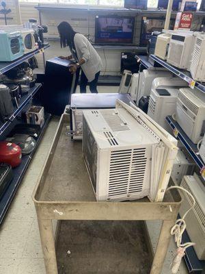 Andrea being a great help!