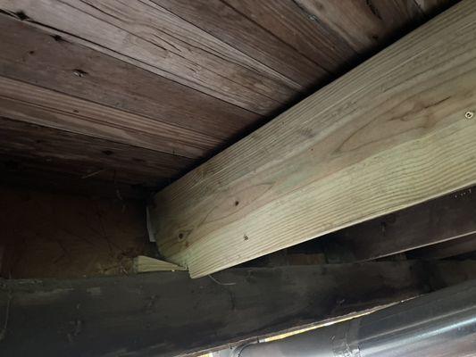 Richard Earl's Construction