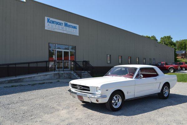 Kentucky Mustang Automotive