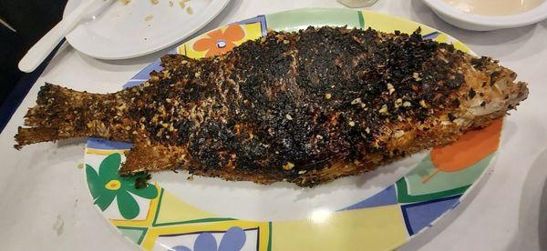 Striped bass, grilled...