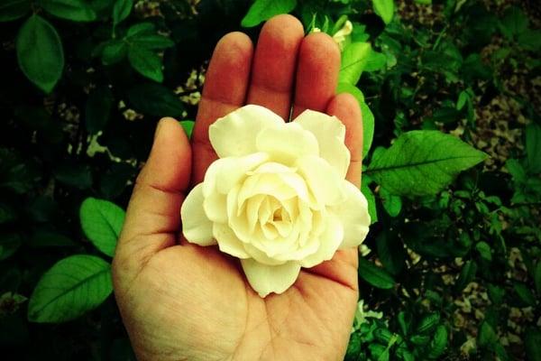 Radian the Art Activist