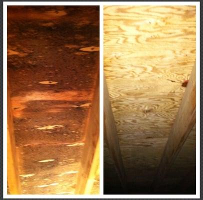 BGS Environmental Services Inc