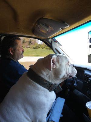 Affordable Auto Repair