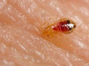 Lost ALL my furniture after 2 months of the dumb shit nxt door hitting my wall for no reason then this......great racket ya run guys.