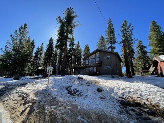 Beautiful sugar pine preserved. Jerimiah's Tree service did everything beautifully. A starting place for improvements coming soon.