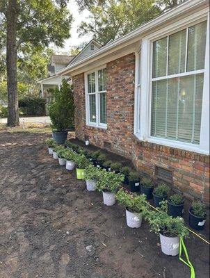 Gargano Property Services