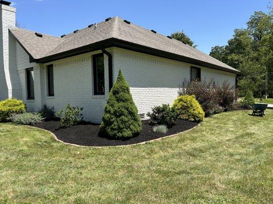 Residential mulch and bushes