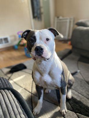 Morgan Veterinary Clinic