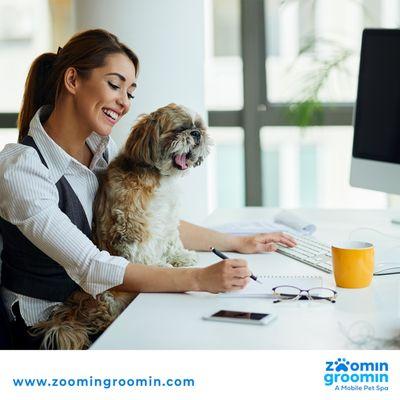 Zoomin Groomin