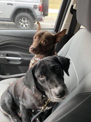 Turkey Foot Vet Clinic