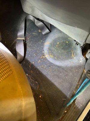 Daybreak Mobile Detailing