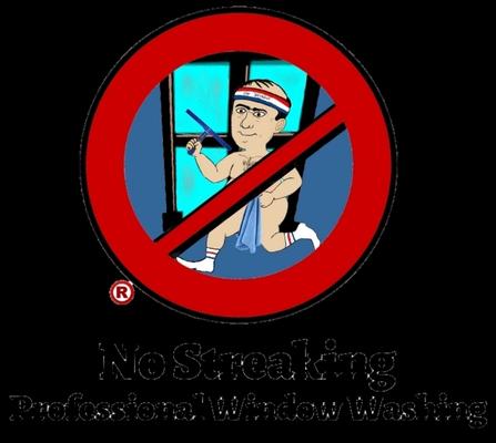 No Streaking Professional Window Washing