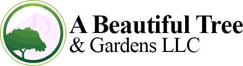 A Beautiful Tree & Gardens