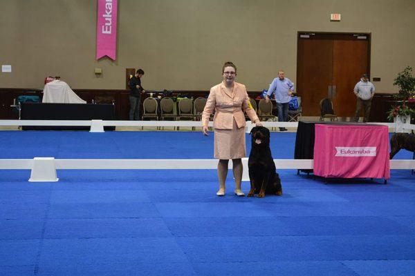 The Hound Playground