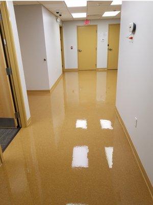 Commercial Maintenance Solutions We specialize in all types of commercial environments.