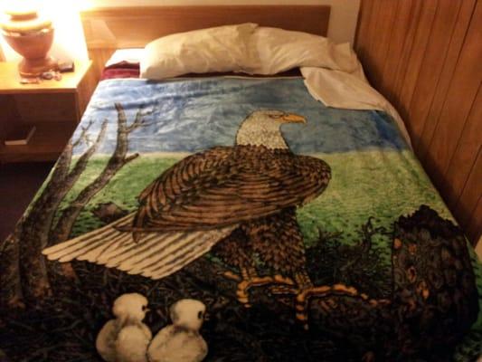 Second bed in Room 208... photo credit Thomas Edel (step son).