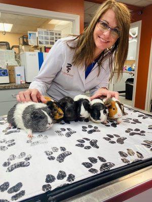 Emerson Animal Hospital