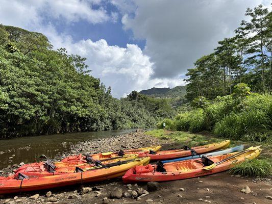 Pineapple Kayaks Kaua’i