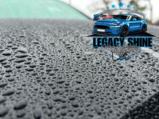 Legacy Shine
