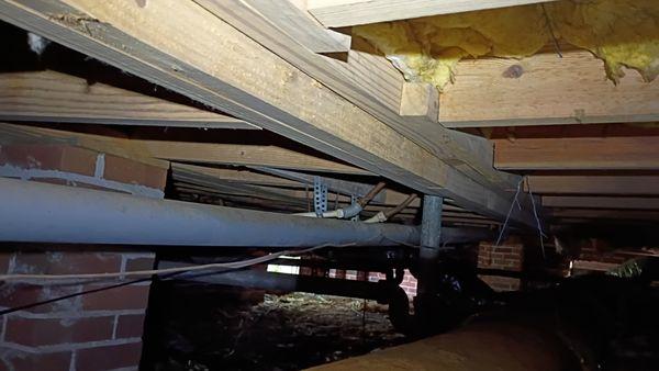 Birdhouse Home Inspection Services