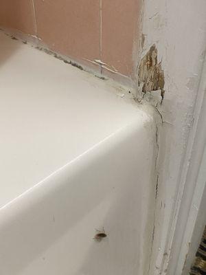 Holiday Lodge-Hawthorne