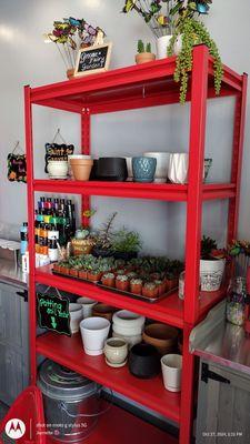 The Hot Spot Studios Kauai