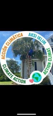 Martinez Landscaping