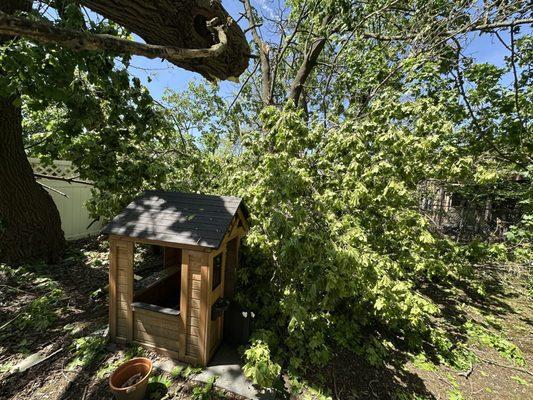 Blalock Tree Service