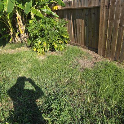 FNE Landscaping & Services