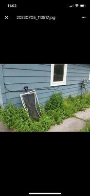 Here's a small example of how our house was treated.