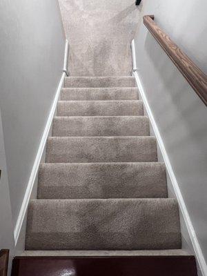 Lee's Carpet Cleaning