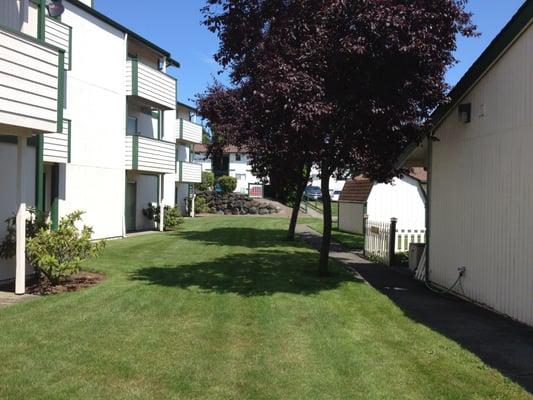 Alpine Vistas Apartments