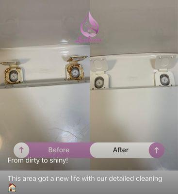 Laudiceia Cleaning Services