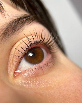 Lash lift with Booster & Tint