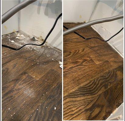 The Best Pest Secret