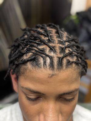 Starter Locs