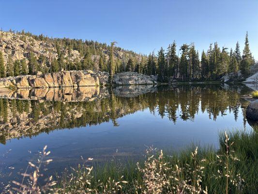 Stanislaus National Forest