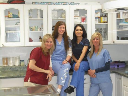 Southgate Veterinary Hospital