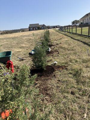 Warrens Residential Services