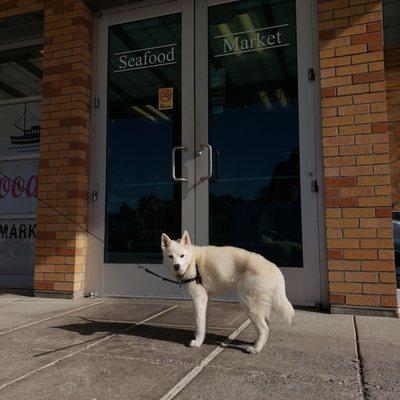 Lummi Seafood Market
